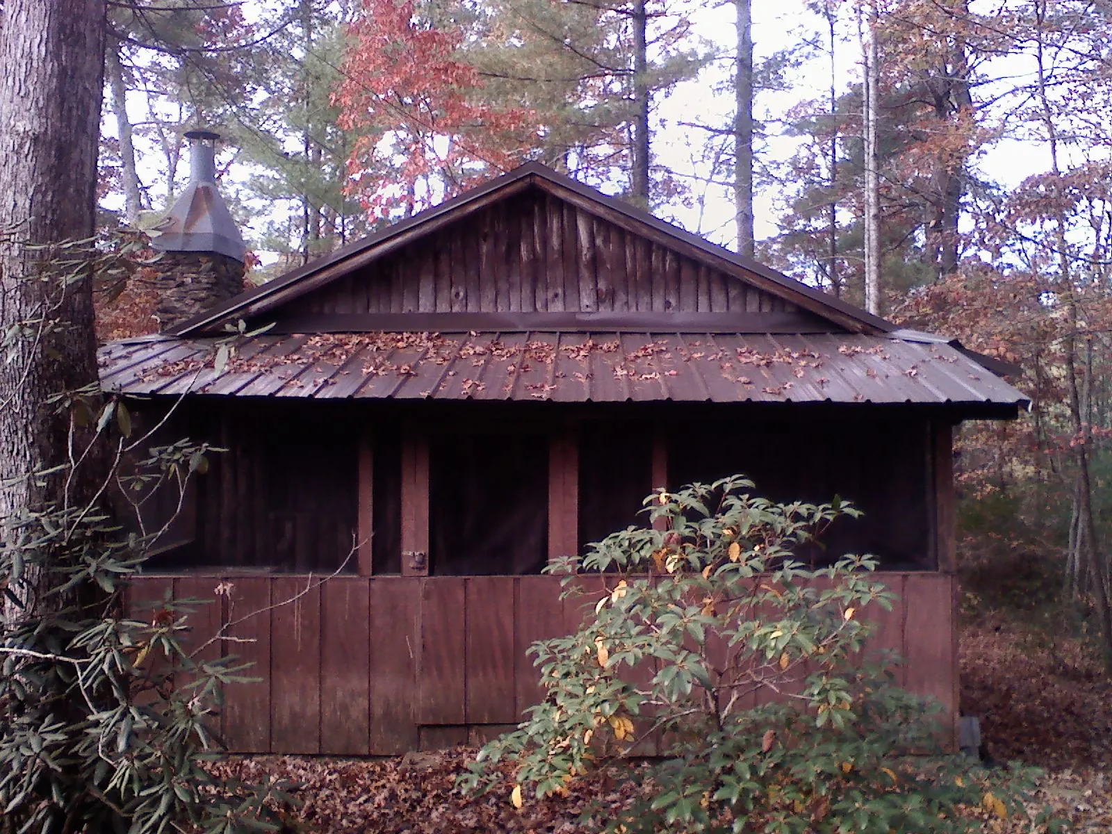 Metal roof over the screened porch of a rustic cabin in James Creek